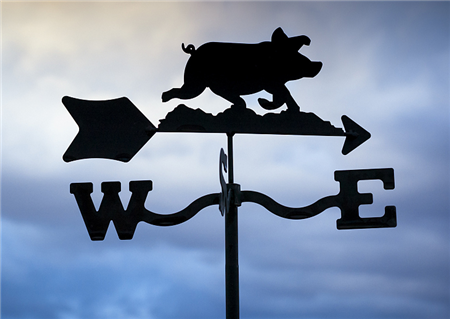 市场观察 | 猪企纷纷加大投资，生猪养殖超级周期即将到来？